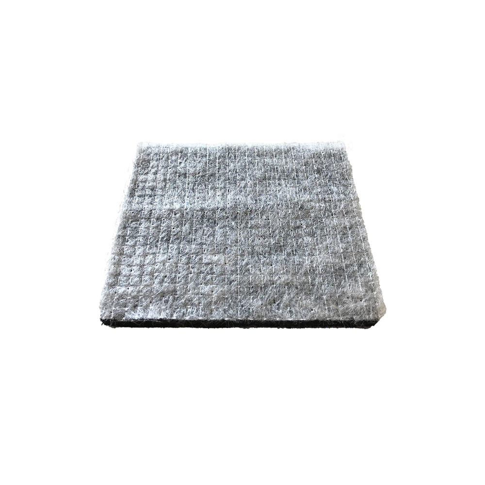 Le filtre de particules de carbone