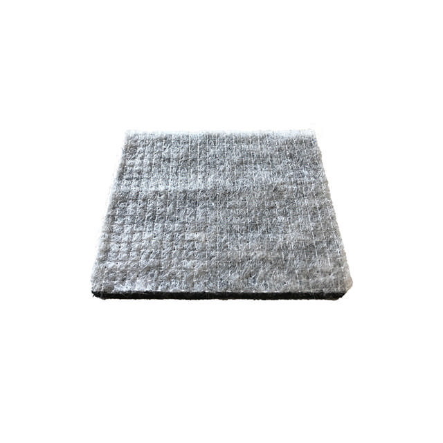 Le filtre de particules de carbone